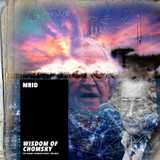 Wisdom of Chomsky - Volume 1 by Mrid for the Noam Chomsky Music Project